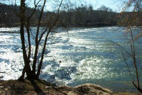 Area around Council Bluff