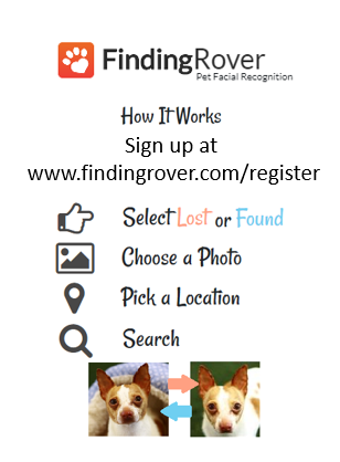 Dog - Lost and Found